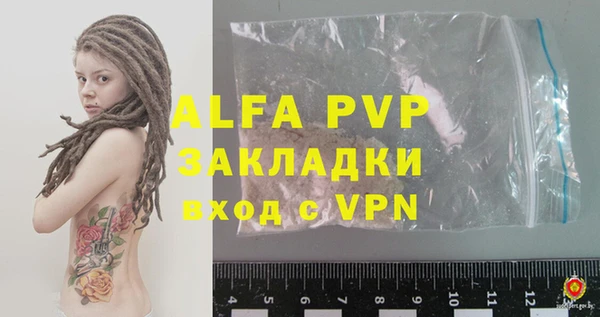 индика Беломорск