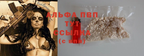 индика Беломорск