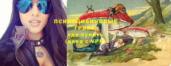 стафф Баксан