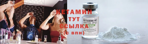 индика Беломорск