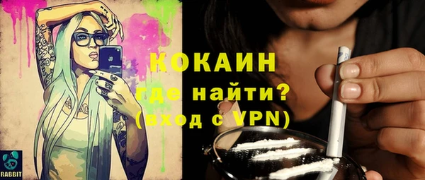 индика Беломорск
