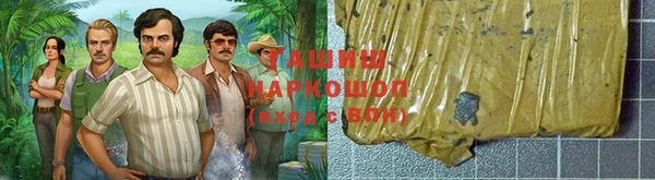индика Беломорск