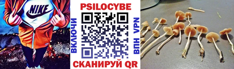Псилоцибиновые грибы мухоморы  Выкса 