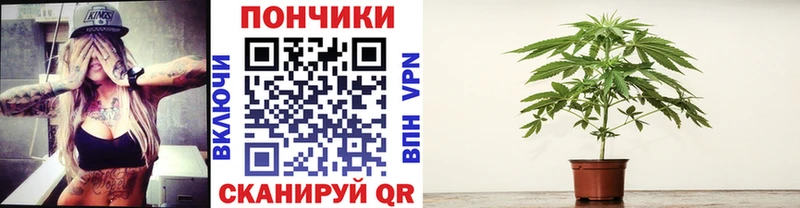 закладки Выкса Каннабис OG Kush